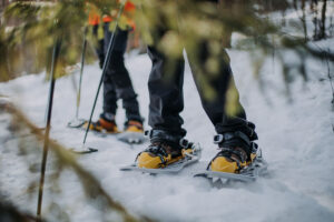 Raquetas de nieve en Laponia