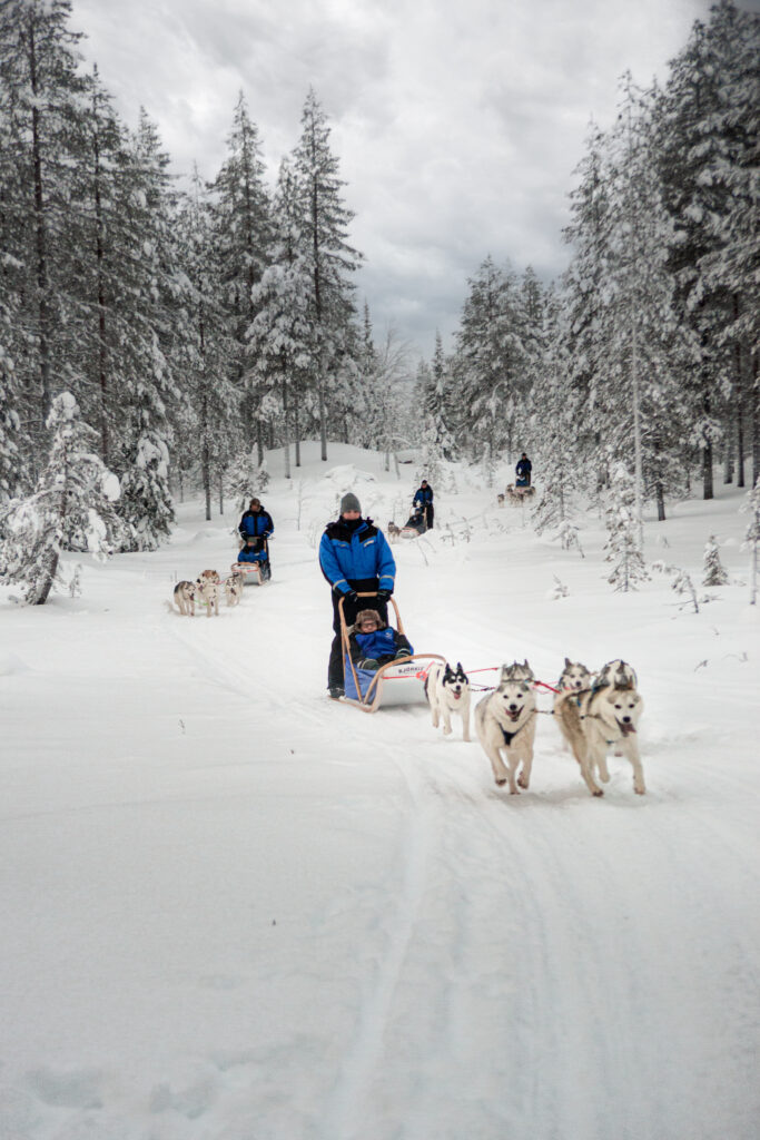 Navidad en Salla Wilderness Lodge